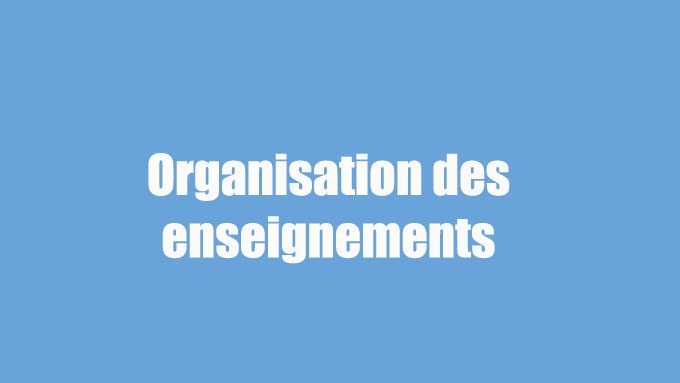 Organisation des enseignements