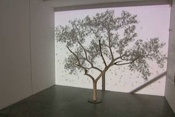 Samuel Rousseau « Sans titre (L’arbre et son ombre) » 2008-2009